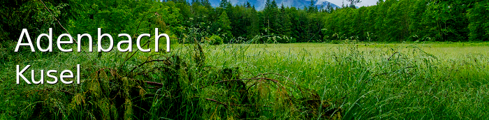 Adenbach Kleines Dorf