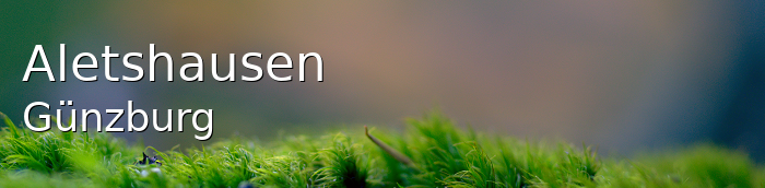 Aletshausen Landkreis Günzburg Aletshausen Großes Dorf