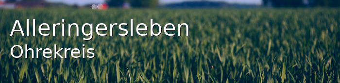Alleringersleben Ohrekreis Alleringersleben