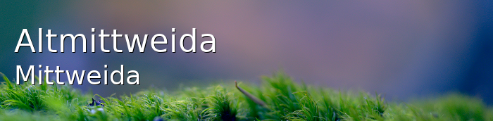 ᐅ Altmittweida 09648 › Mittweida › Sachsen 2024