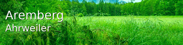 Aremberg Landkreis Ahrweiler Aremberg Kleines Dorf