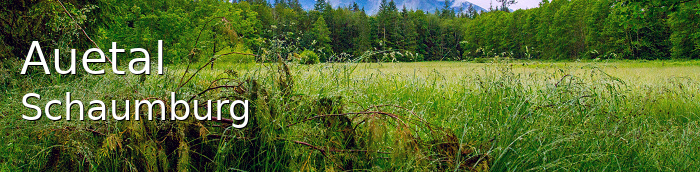Auetal Landkreis Schaumburg Auetal Große Landstadt