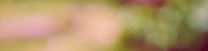 B?delsdorf Kleinstadt