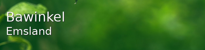 ᐅ Bawinkel 49844 › Emsland › Niedersachsen 2024