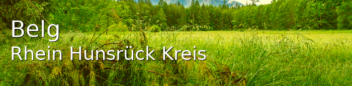 Belg Rhein-Hunsrück-Kreis Belg Kleines Dorf