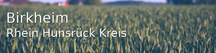 Birkheim Rhein-Hunsrück-Kreis Birkheim Kleines Dorf