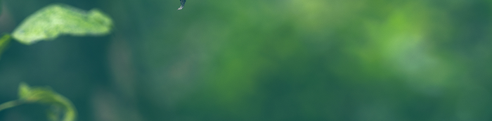 Breitenbach Burgenlandkreis Breitenbach Gro?es Dorf