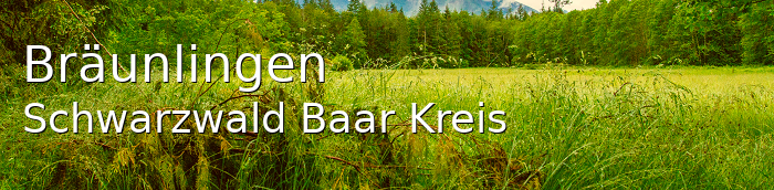 Bräunlingen Schwarzwald-Baar-Kreis Bräunlingen Große Landstadt