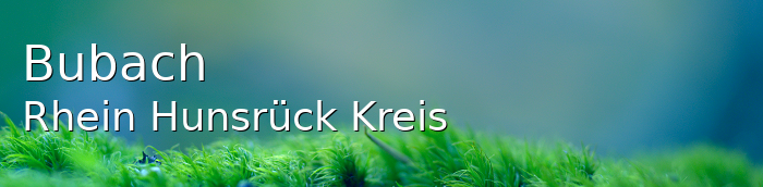 Bubach Rhein-Hunsrück-Kreis Bubach Kleines Dorf