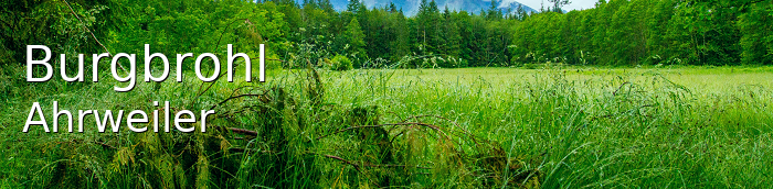 Burgbrohl Landkreis Ahrweiler Burgbrohl Landstadt
