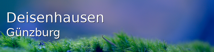 Deisenhausen Landkreis Günzburg Deisenhausen Großes Dorf