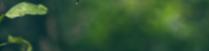 Denkingen Landkreis Tuttlingen Denkingen Landstadt