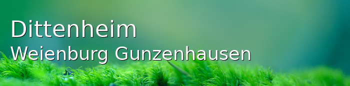 Dittenheim Groes Dorf