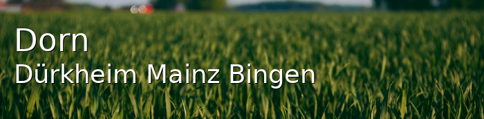 Dorn-Dürkheim Landkreis Mainz-Bingen Dorn-Dürkheim Dorf