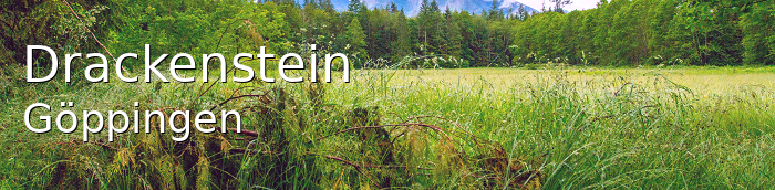 Drackenstein Landkreis Göppingen Drackenstein Kleines Dorf