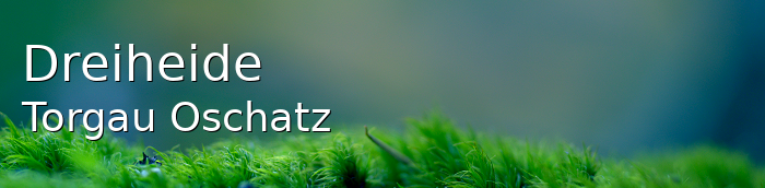 Dreiheide Landkreis Torgau-Oschatz Dreiheide Landstadt