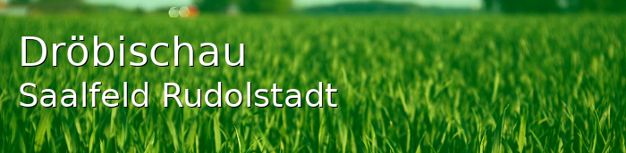 Dröbischau Landkreis Saalfeld-Rudolstadt Dröbischau Kleines Dorf