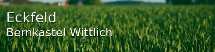Eckfeld Landkreis Bernkastel-Wittlich Eckfeld Kleines Dorf