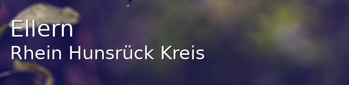 Ellern Rhein-Hunsrück-Kreis Ellern