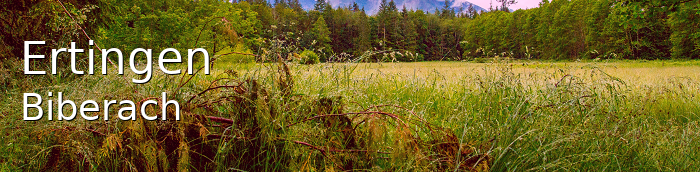 Ertingen Landkreis Biberach Ertingen Große Landstadt