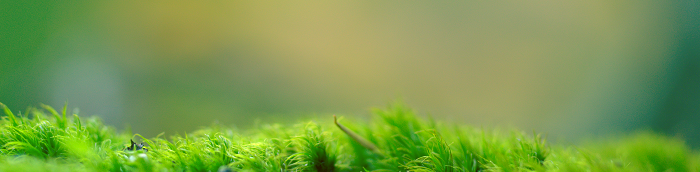 Fluorn-Winzeln Landkreis Rottweil Fluorn-Winzeln Landstadt