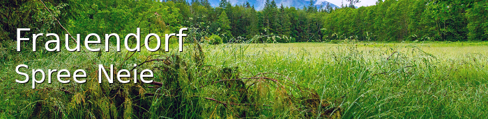 Frauendorf Dorf