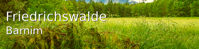 Friedrichswalde Landkreis Barnim Friedrichswalde Dorf