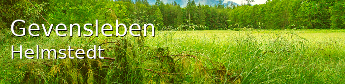 Gevensleben Landkreis Helmstedt Gevensleben Dorf
