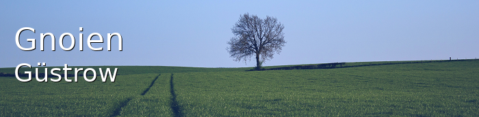 Gnoien Landkreis Güstrow Gnoien Landstadt