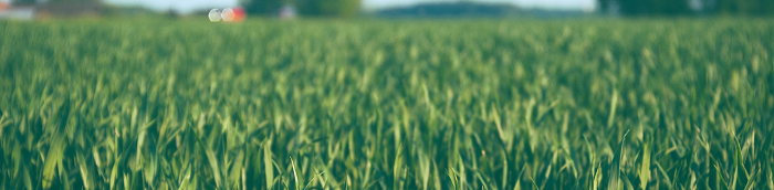 Gro?badegast Landkreis K?then Gro?badegast