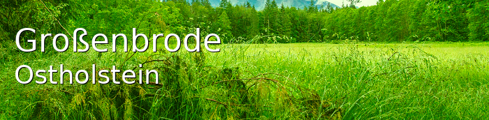 Großenbrode Landkreis Ostholstein Großenbrode Landstadt