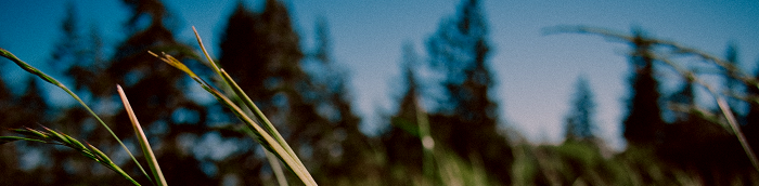 Gusterath Gro?es Dorf