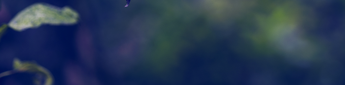 Hagelberg Landkreis Potsdam-Mittelmark Hagelberg