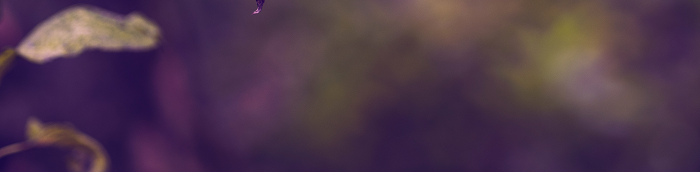 Haiterbach Landkreis Calw Haiterbach Gro?e Landstadt