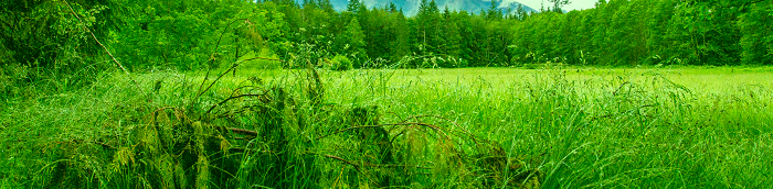 Hamm Landkreis Alzey-Worms Hamm Kleine Gro?stadt