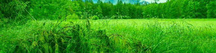 Hanerau-Hademarschen Landstadt