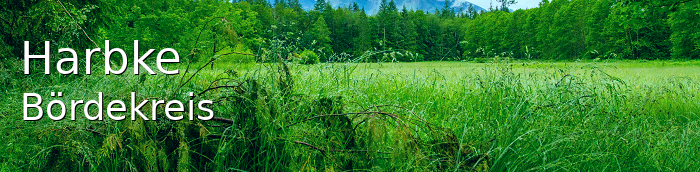 Harbke Bördekreis Harbke Großes Dorf