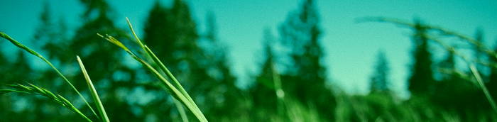 Hattingen Ennepe-Ruhr-Kreis Hattingen Mittelstadt