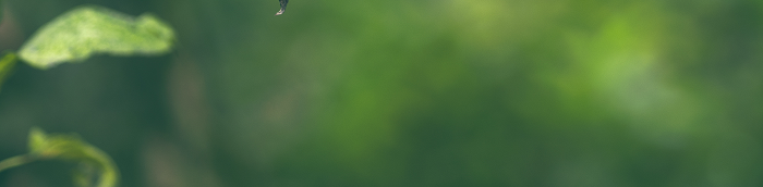 Hecklingen Gro?e Landstadt