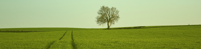 Heidekamp Kleines Dorf