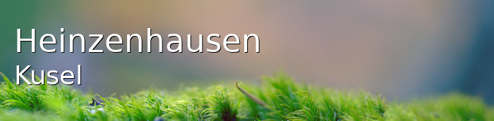 Heinzenhausen Landkreis Kusel Heinzenhausen Kleines Dorf