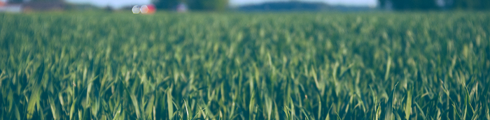 Hettingen Landkreis Sigmaringen Hettingen Gro?es Dorf