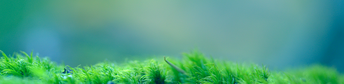 Hinsdorf Landkreis K?then Hinsdorf