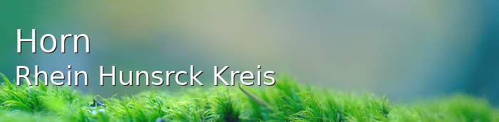 Horn Kleines Dorf
