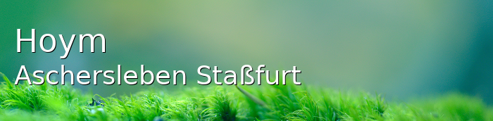 Hoym Landkreis Aschersleben-Staßfurt Hoym