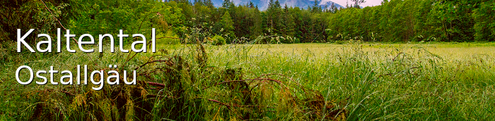 Kaltental Landkreis Ostallgäu Kaltental Großes Dorf