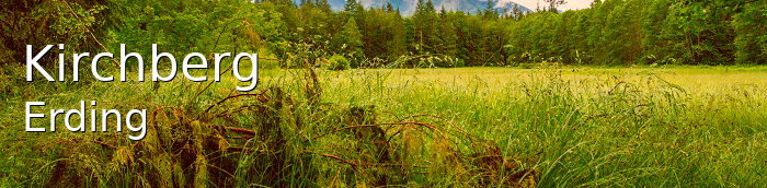 Kirchberg Landkreis Erding Kirchberg Dorf