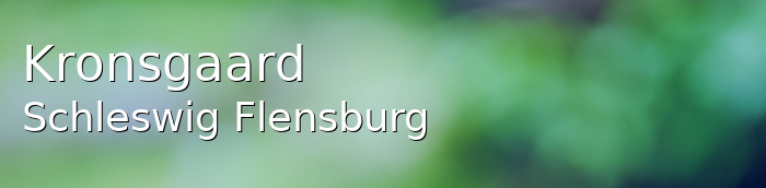Kronsgaard Landkreis Schleswig-Flensburg Kronsgaard Kleines Dorf