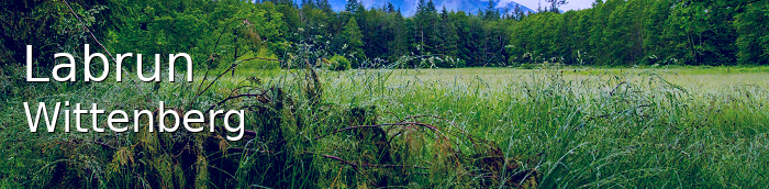 Labrun Landkreis Wittenberg Labrun