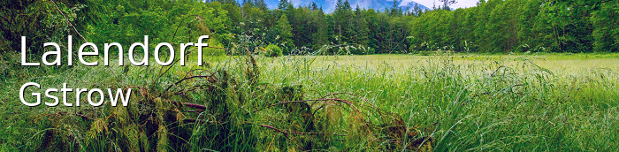 Lalendorf Landstadt